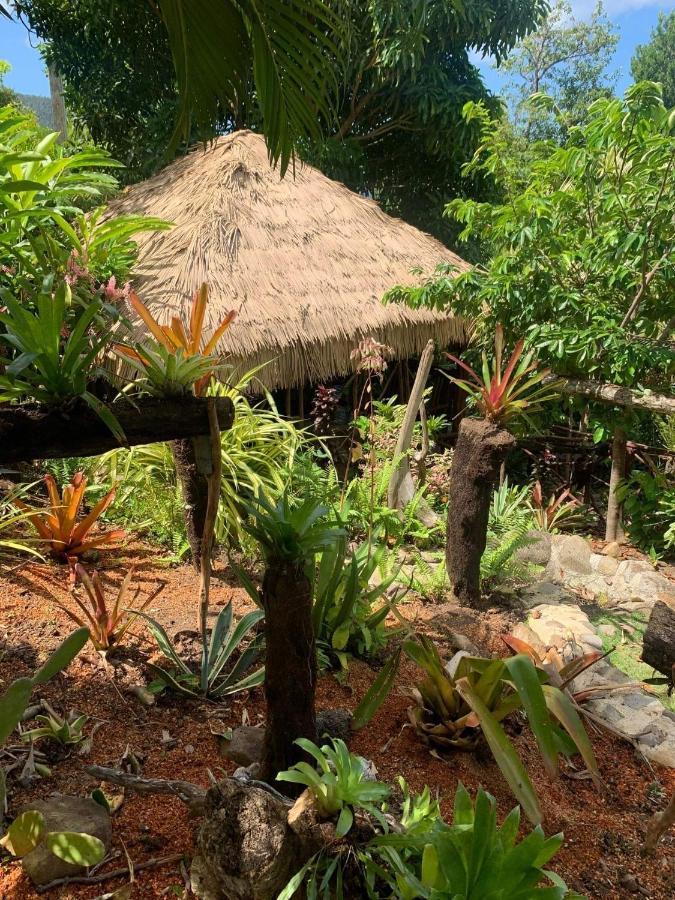 Orchid Resort Ltd Guillet Buitenkant foto